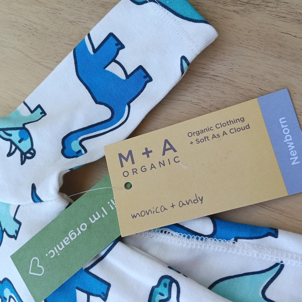 Organic Dinosaur Print Men's Underwear